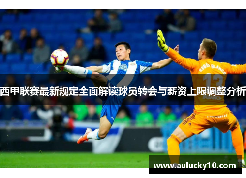 西甲联赛最新规定全面解读球员转会与薪资上限调整分析
